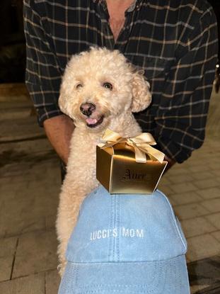 Lucci Lucciano. Mi “hijo”