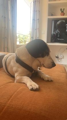 En casa 