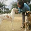 Marta: Paseadora de perros