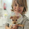 Olga : Cuidadora y responsable de perros 