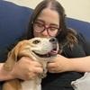 Valeria: Amor es una palabra de 4 patas