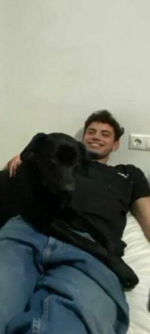 Misael avatar