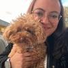 Lorena: Peludiños mascotas 