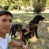 Marcos Santos: El mejor amigo perruno