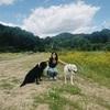 Lucía: Paseadora de perros