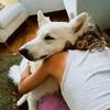 Lola: Lola 