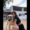 Isabel: Cuido peluditos