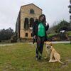 Maria adela : Guardería canina y paseos Xilguerín