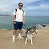 Andres: Juegos , amor y compañía para perros y gatos