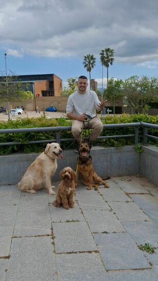 Ismael  avatar