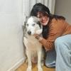 Mariam: Atención de calidad para tu compañero de cuatro patas.