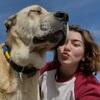 Sudenaz: A Lifelong Bond with Dogs