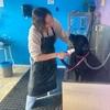Lucia : Me encanta pasar tiempo con animales