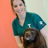 Aislinn: Experienced UK Vet Nurse - Compassionate, qualified pet care
