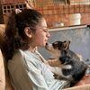 Domenica Paola: Campamento canino