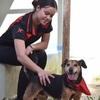 Lucía: Enamorada de los animales