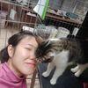 Linghong: Amante de gatos y perros de confianza