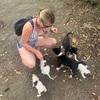 Laura: Ca&Care Doggy Holiday Home