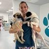 Paula: Auxiliar veterinario , cuido perretes en mis días libres 