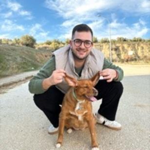 Álvaro avatar