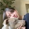 Amanda: Los perros de guarde son unos más de mi pitfamily 🫶🏼