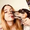 Zel: La mejor compañía y cuidado para tu mascota