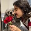 Giordana: Vacaciones seguras para tu peludo💓