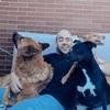 Carlos: Casa con Huellas 🐾💖