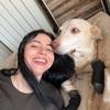 Yessika: 🐾 Paseos con cariño y responsabilidad