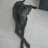 TOBY avatar