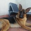 Gus avatar