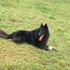 Blacky avatar