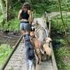 Sheila: Animal Hostel 