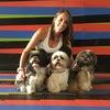 Katherin: Kathy, el hogar de tu mascota 