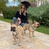 Rocco avatar