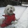 Enzo avatar