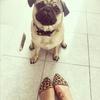 Lolo avatar