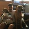 Jose Ángel: Paseador y cuidador de perros con experiencia y mucho cariño 🐾