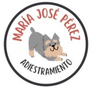 María Jose avatar