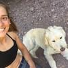 javiera: Cuidadora de perros y gatos Barcelona