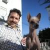 Pelúa avatar
