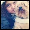 Yorki avatar