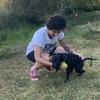 Irene: Dog sitter in Madrid