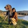 Andrea: Con formación VETERINARIA💊 Más de 7mil metros de libertad y piscina 🌿🏡