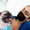 Lola avatar