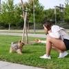 Sabrina: Si quieres un lindo día para tu peludo, llámame!