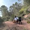 Estefani : Cuidadora cariñosa y con experiencia🐾