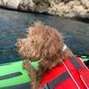 Nuria review