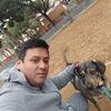 Renzo: Diversión para tus mascotas 