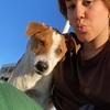 Maya: Al servicio de los animales